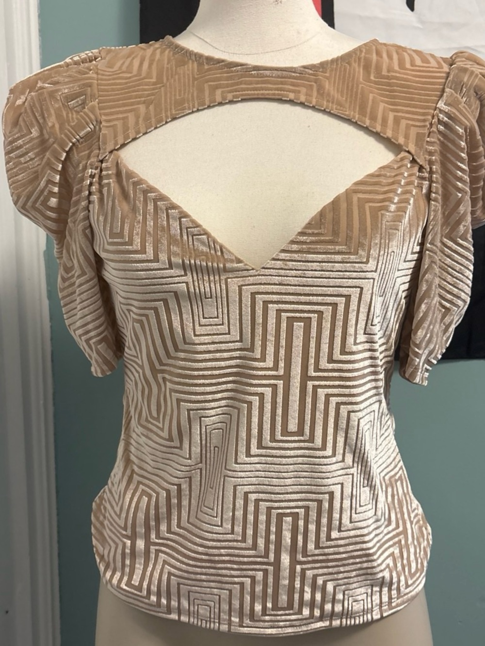 Cutout Velvet Geometric Blouse in Tan